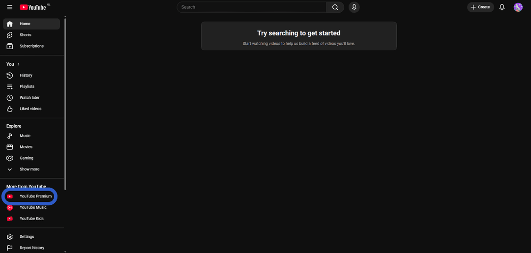 Youtube1